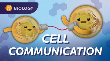 Why Do Cells Need to Communicate?: Crash Course Biology #25