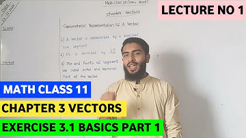 Math Class 11 New Book | Chapter 3 vectors | Exercise 3.1 Basic Sindh Board