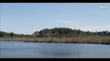 UD Ph.D. student studies wetlands and climate change mitigation