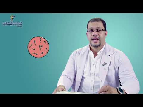 أسباب تشوهات السائل المنوي ممكن تأثر على صحة الجنين مع د إسلام فتحي