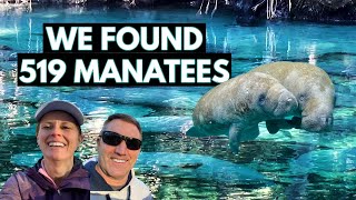We Saw 519 Manatees in a Blue Spring! | Blue Spring State Park Florida