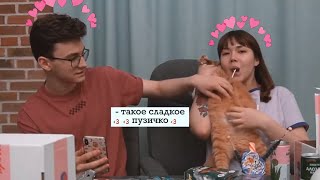 Брайн и ТИГРАаа лучшие моменты