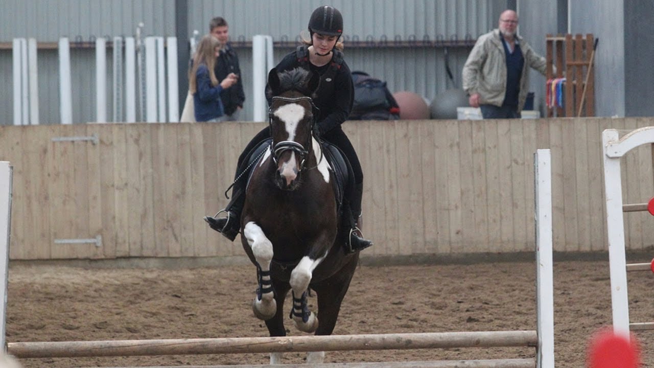 Rundvisning på Hestelinjen hos Aalestrup Naturefterskole
