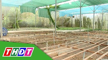 Giải bài toán cung cấp dịch vụ mới của HTX kiểu mới | THDT