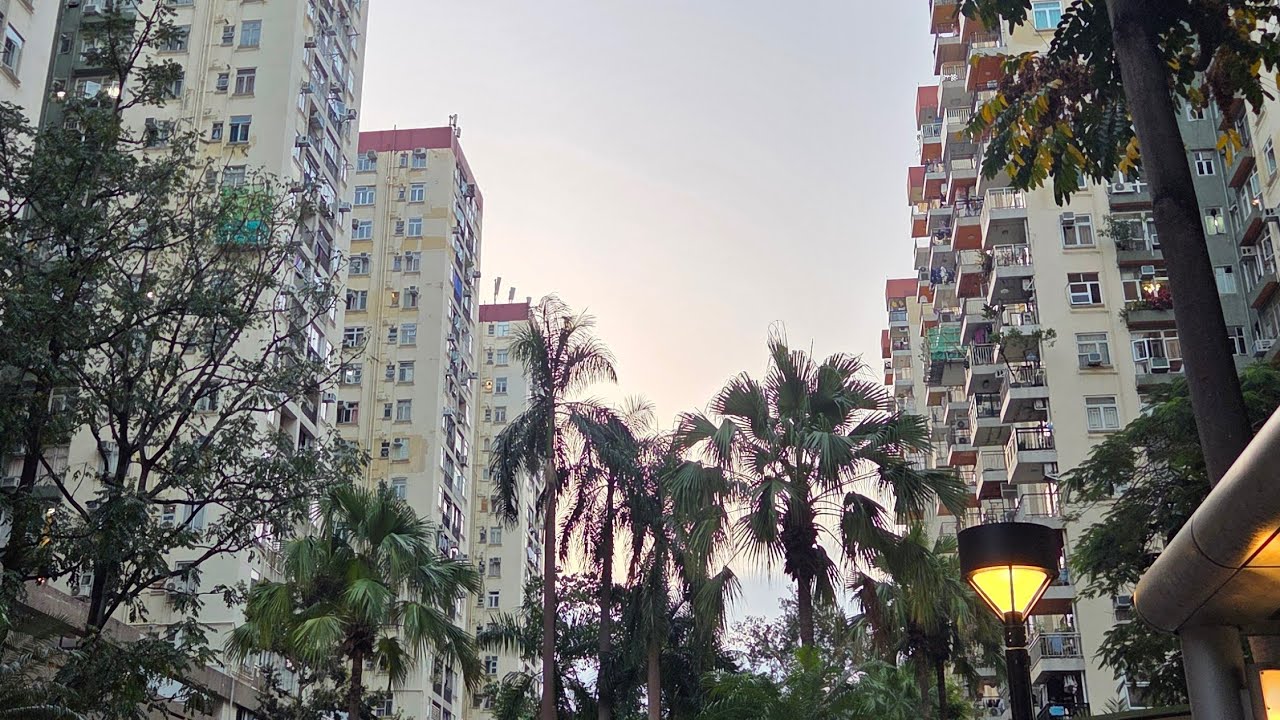 Гонконг онлайн сегодня вечером 6 марта. районы, кварталы, жилые массивы. я хожу между домами красиво