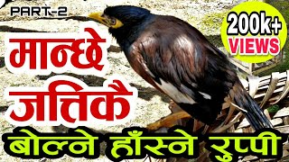 Bird Talking In Nepali | मान्छे जत्तिकै बोल्ने हास्ने चरा रुप्पी | Part-1 | BijayaLimbu