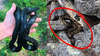 Snake Hunting in Pennsylvania! (Part 1)