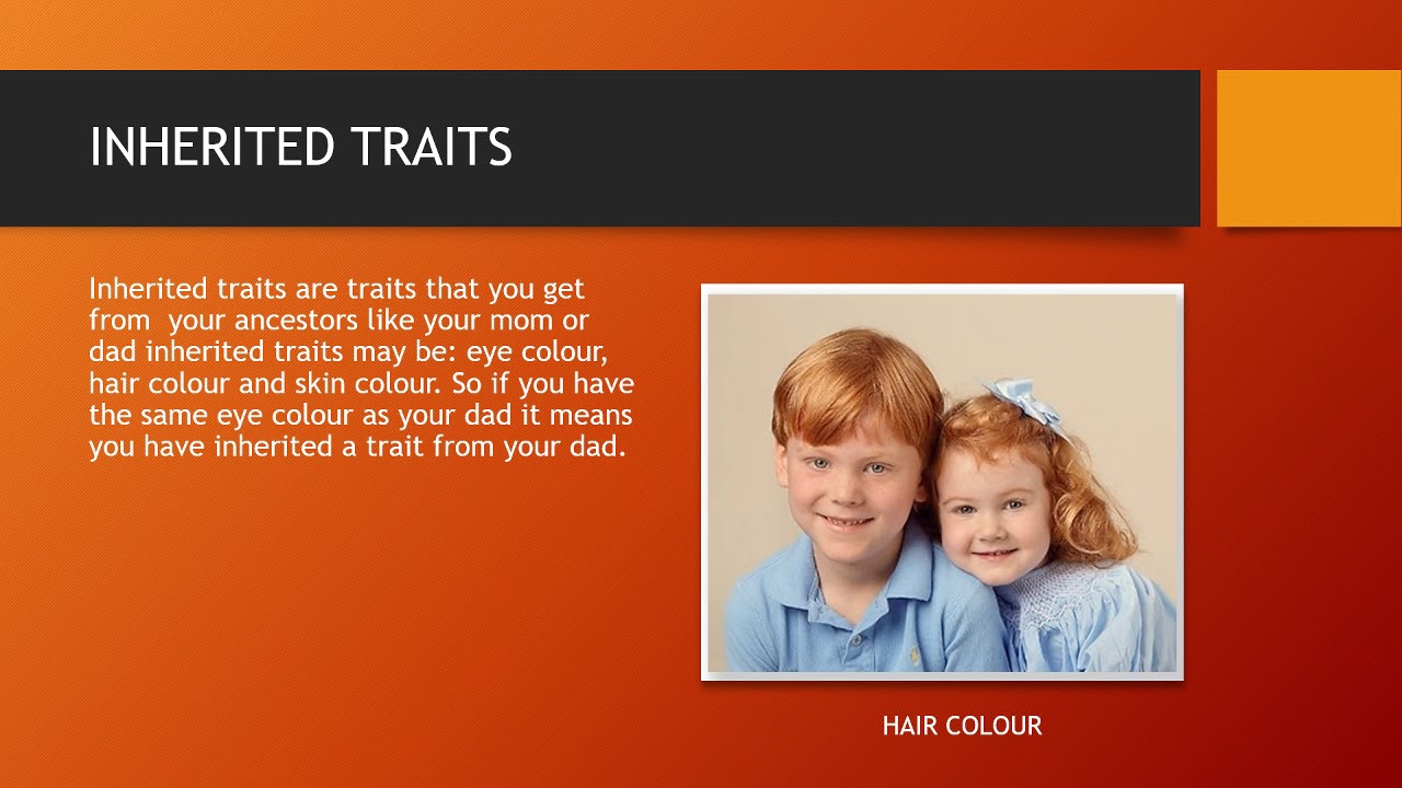 01 Inherited And Acquired Traits - YouTube
