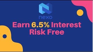 NEXO IO SAFELY EARN Compound Interest On USD Stable Coins amp EUR MY ACTUAL ACCOUNT Crypto Lending