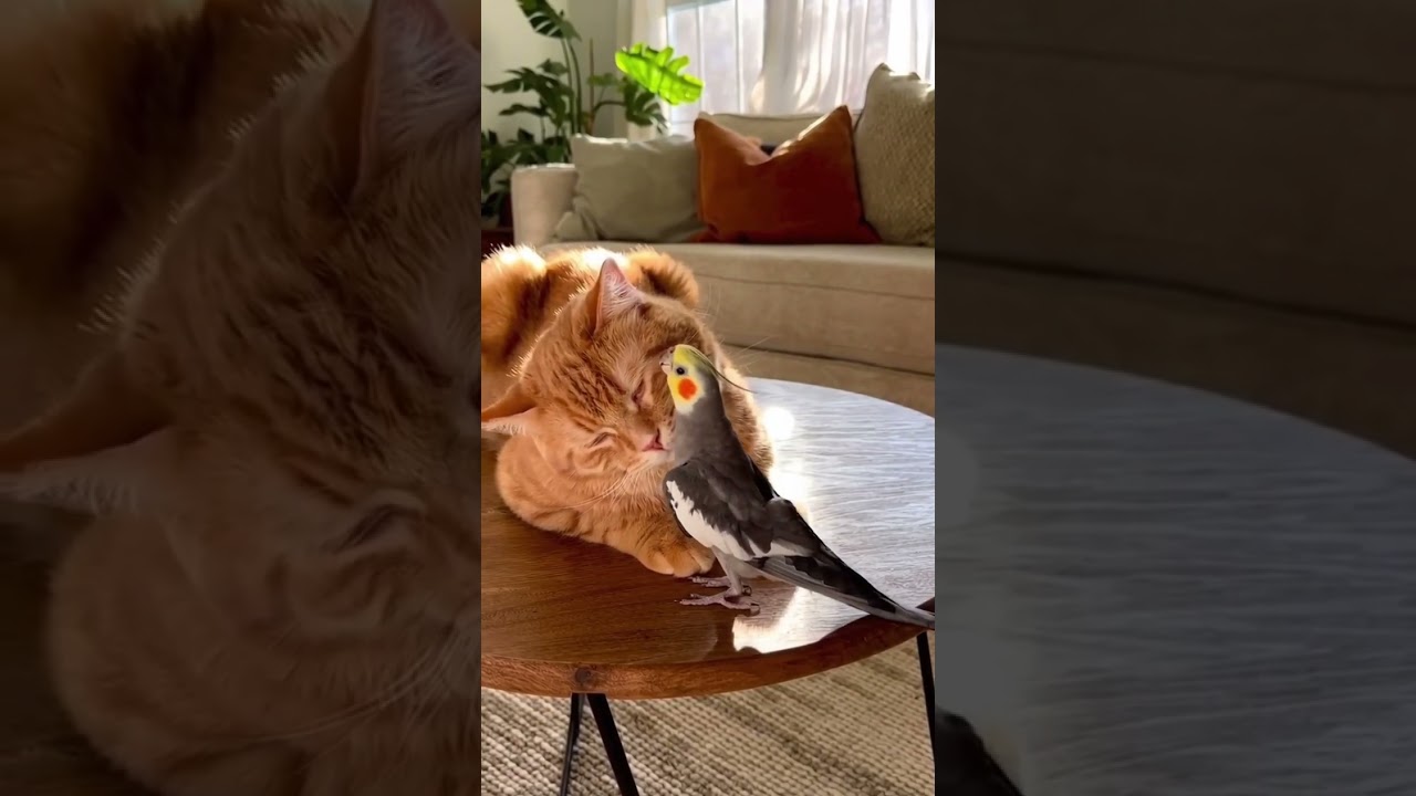 Slow care… pure bliss 😌 