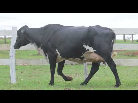 LOTE 34 3719 CG