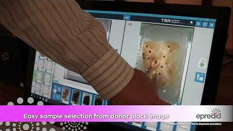 TMA Grand Master Demonstration