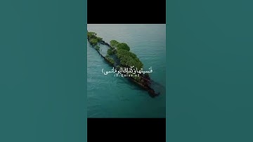 قال ربي لما حشرتني أعمى وقد كنت بصيرا  | القارئ إسلام صبحي 💦💚