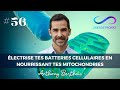 Lectrise tes batteries cellulaires en nourrissant tes mitochondries  anthony berthou