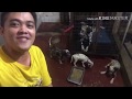 Magpapamigay kami ng Dalmatian puppies の動画、YouTube動画。