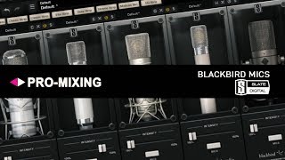 Обзор Slate Digital VMS Blackbird Mics [Арам Киракосян]