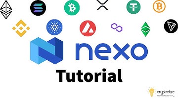 Nexo Tutorial: How to Use Nexo Wallet