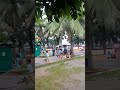 #trending #video #shorts