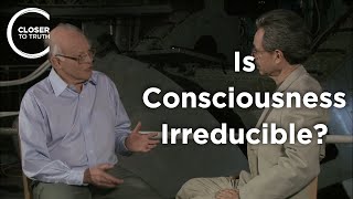 John Leslie  Is Consciousness Irreducible?
