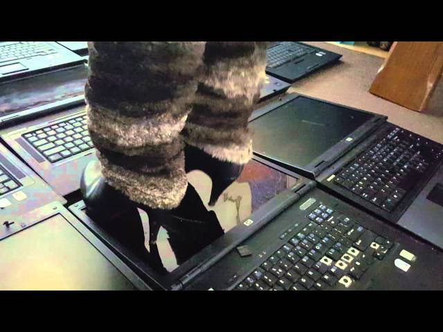 Live mouse crush fetish Live mouse crush fetish all