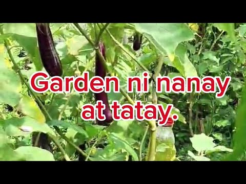 Unang vlog ni nanay at tatay