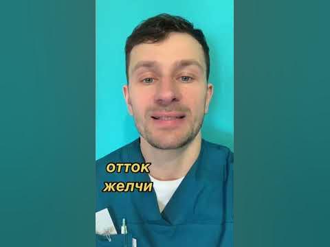 желчный пузырь, желчь, застой желчи, здоровье, желчный пузырь симптомы ...