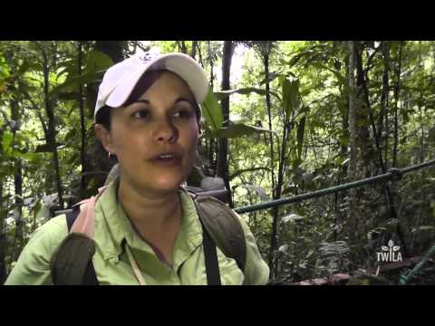 Central America — Costa Rican Ecotourism