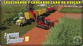 FS 19 - COMENZAMOS A COSECHAR CAÑA DE AZÚCAR Y YA FALTARON 2 EMPLEADOS