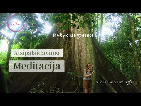 Meditacija - ryšys su gamta