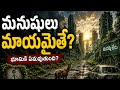 🔥 What If Humanity Disappeared Overnight?