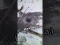 А на что вы ловите зимой? #зимняярыбалка #рыбалка #улов #рыбалка2026 #наживка