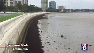 Hurricane Irma drains Tampa Bay area waterways