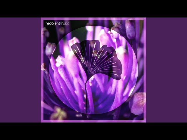 Jameela (Extended Mix)