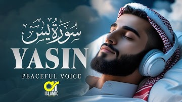 Surah Yasin (Yaseen) سورة يس | Relaxing calming Heart touching Voice  | EP -65 | @islamicvideos.a.r