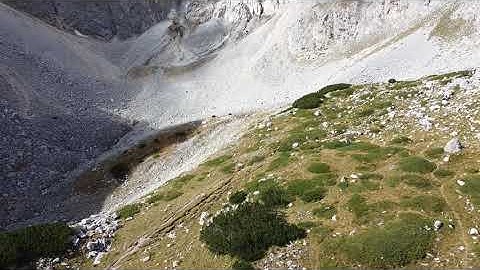 Drone crash - Too windy for DJI Mavic mini