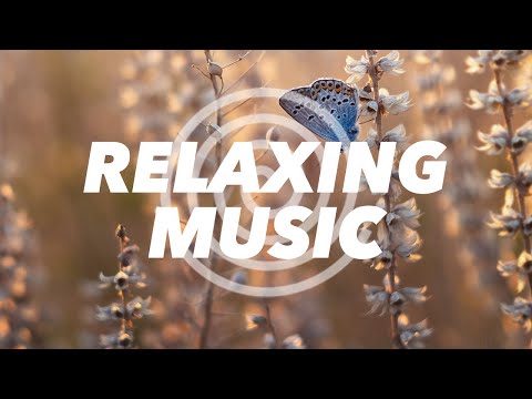 Zen Sleep Music: Calming Lullaby Tones for Adults to Relax and Sleep