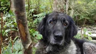 Camping Dejani Romania Sep. 2Nd 2020