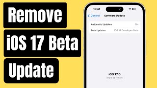 How to Remove iOS 17.4.1 Beta on iPhone (2024) | Switch to Public Final iOS screenshot 3