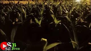 Hipnotis tidur nyenyak dengan suara jangkrik dan suara kodok kebun sawit untuk tidur di malam hari