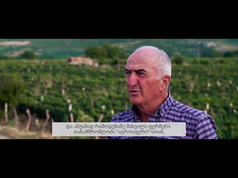 წარმატებული ფერმერი - თემურ მეურმიშვილი