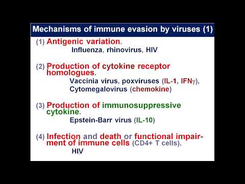 12:00 Immunity to bacteria and viruses