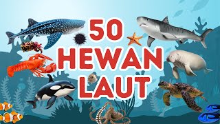 Belajar 50 Nama-nama Hewan Laut untuk Anak-anak | Mengenal Nama-nama Ikan Laut | Video Edukasi Anak