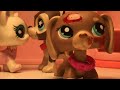 Lps wasteland mv