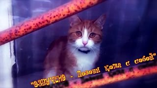 ILUMILAND - Позови кота с собой. ILUMILAND - Позови кота с собой.