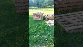 DIY - How to Build the Best Pallet Chicken Coop Ever - Lost Footage PT. 2