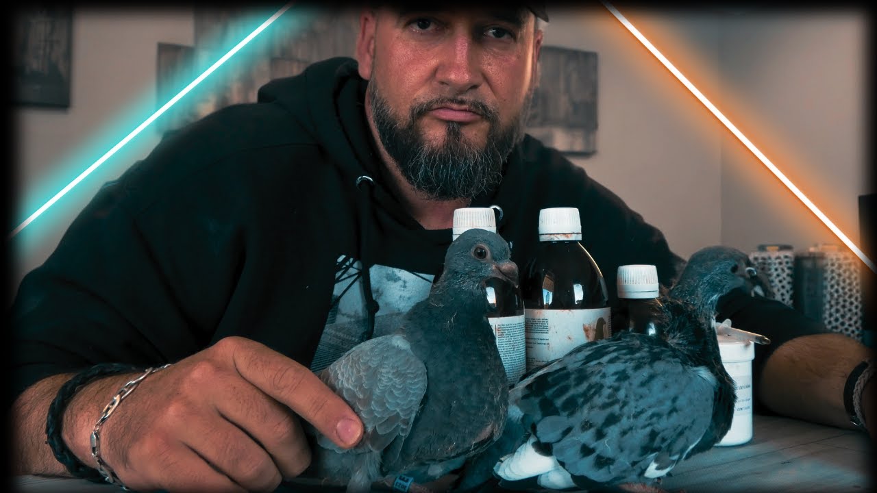 TRATAMIENTO PARA LA ADENOVIRUS EN PALOMA / Samuel Fuente