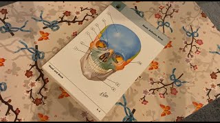 ASMR Skeletal Anatomy Study Session I Soft Spoken screenshot 5