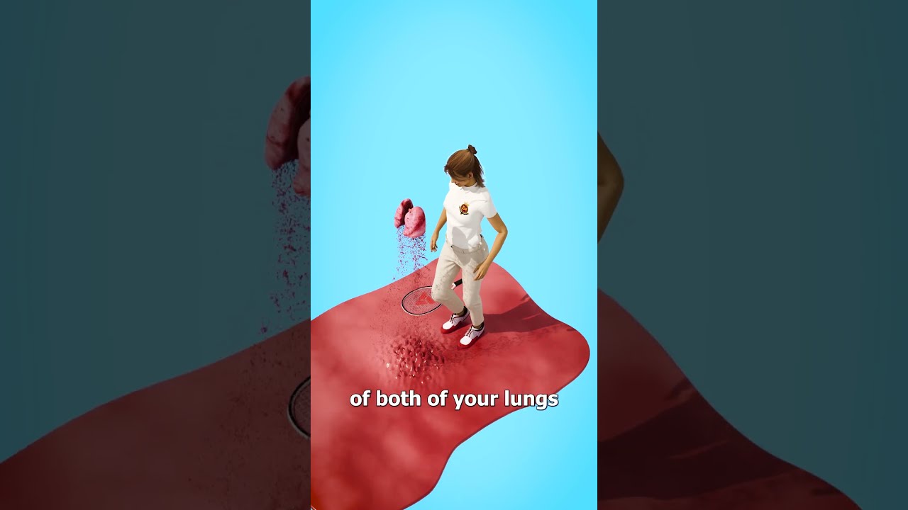The Surface Area Of Your Lungs 
