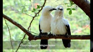 Cinta Putih Abadi (CPA)   Lyrics