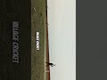 Village #cricket #ytshorts